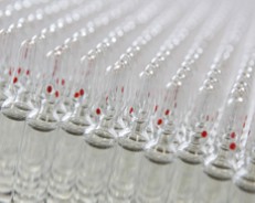 2009: Se fabrica el récord de 100 millones de ampollas