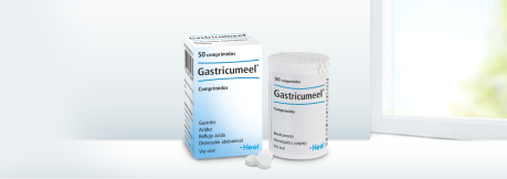 Gastricumeel® Tabletas 